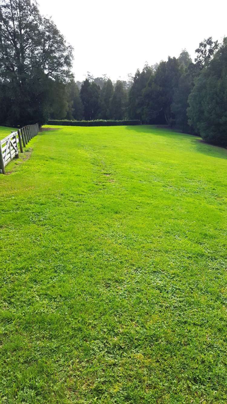 9 Pearson Road Whitford_4