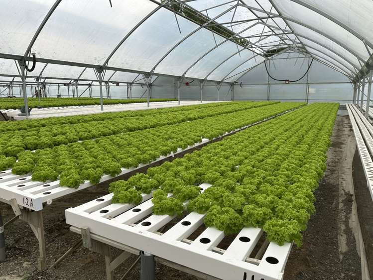 116 Wingatui Road Mosgiel_12