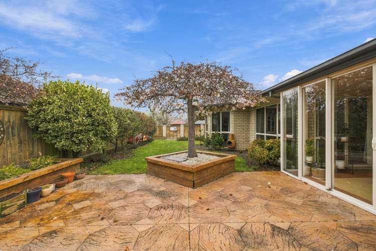 48 O'Neill Avenue Northwood_11