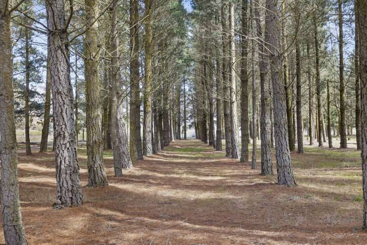 157 Sandflat Road Cromwell_1