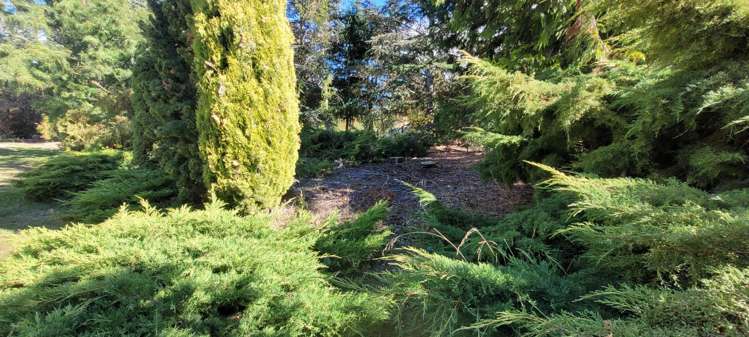 436A Bannockburn Road Cromwell_6
