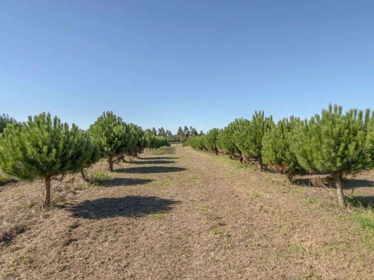 3/377 Halkett Road West Melton_9