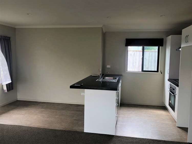 31a Hulme Street Roslyn_2