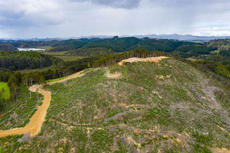 1458 Ngunguru Road Ngunguru_34