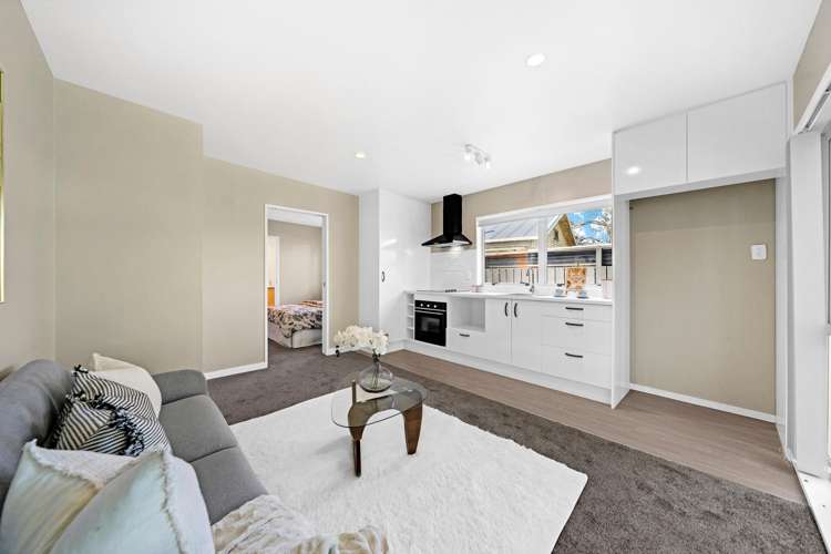 21 Gray Avenue Mangere East_19