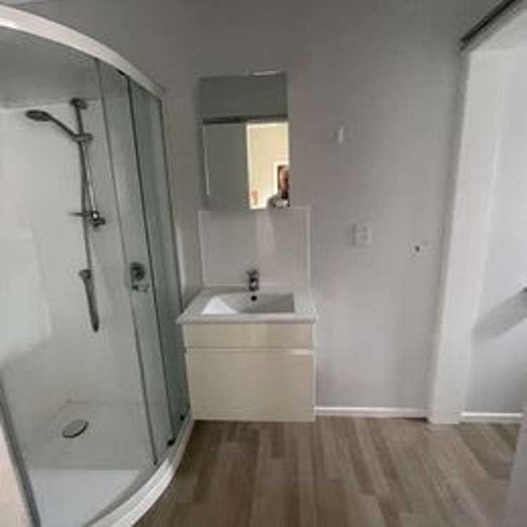 28 MacDonald Cres - flat 2 (ground floor)/28 MacDonald Crescent Te Aro_2