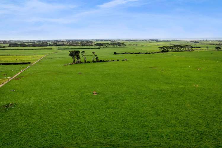 192 Upper Kina Road Oaonui_5