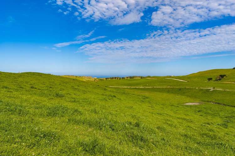 559 Mahuta Road Dargaville_31