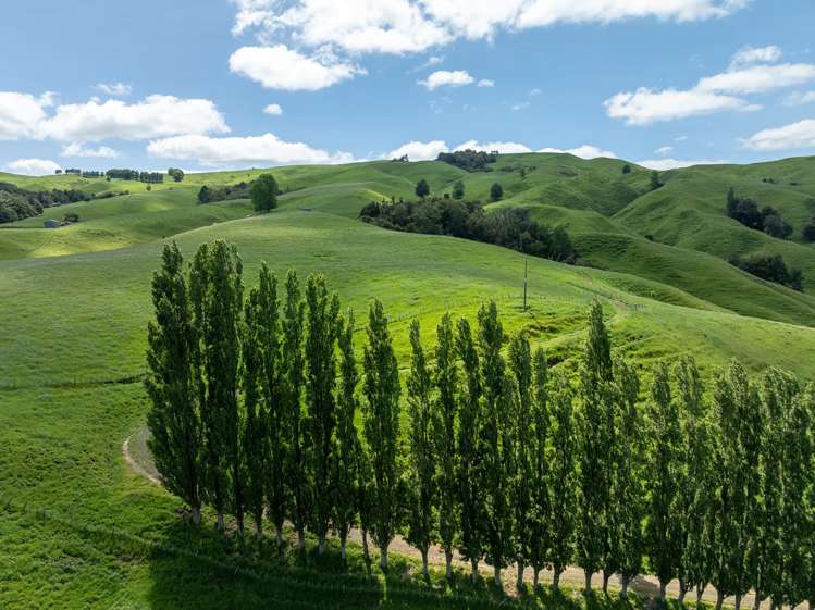 1/400 Brunskill Road Cambridge_18