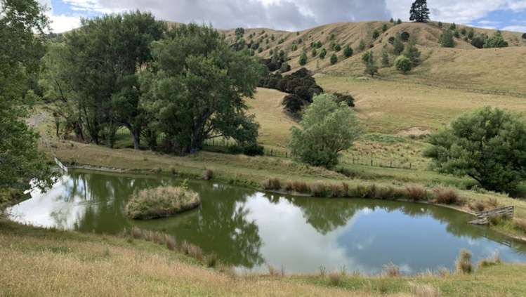 411 Cannock Road Hinakura_17