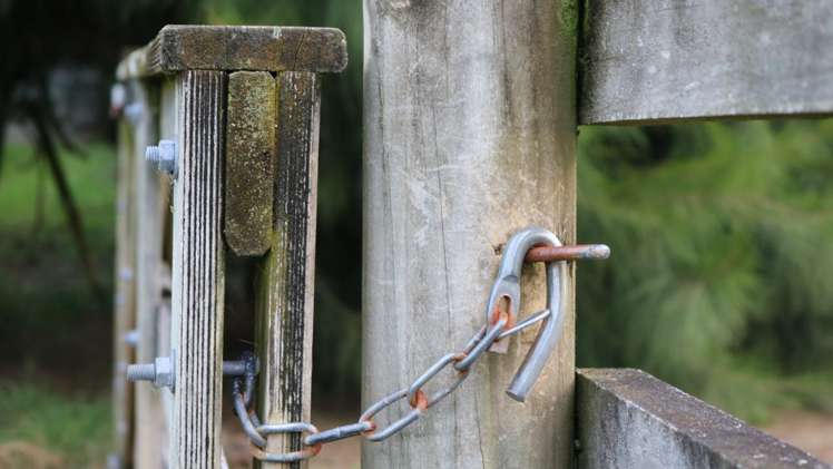 Brenda Gardner Way Maunu_11