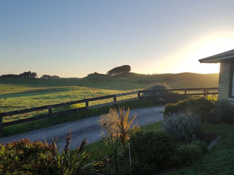 817 Baylys Coast Road Dargaville Surrounds_10