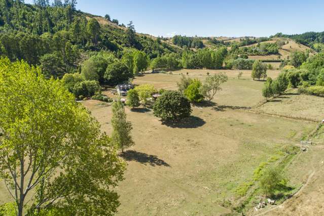 174 Thorpe-Orinoco Road Ngatimoti_2