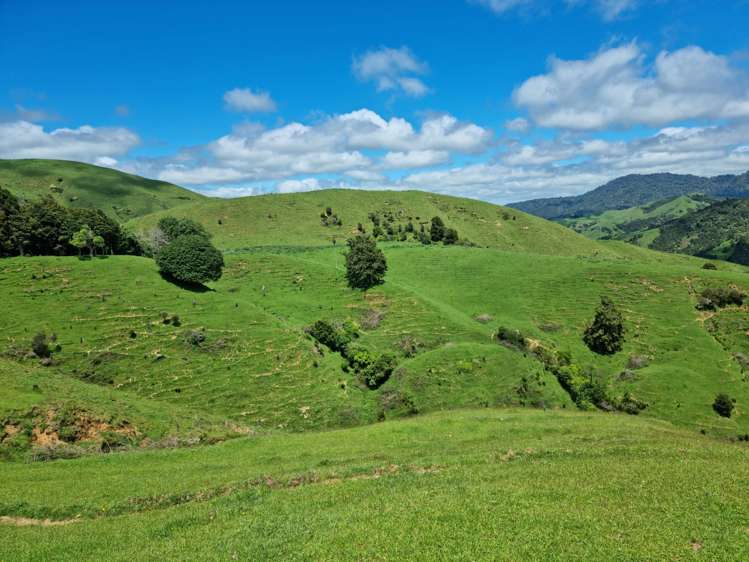 852 Mangawara Road Tahuna_10