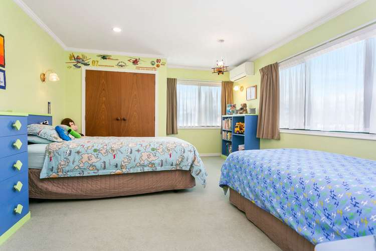 67 Rata Street Matamata_5