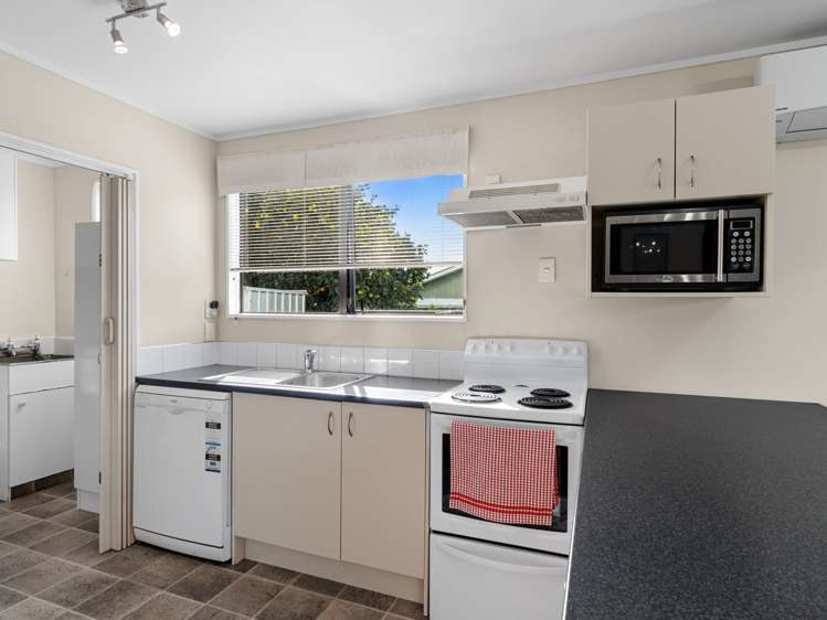 22 Roy Street Nawton_8