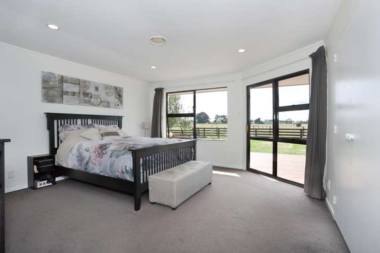 455b State Highway 1 Bulls_14