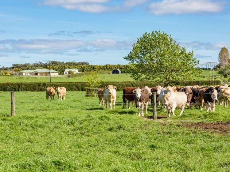 403 Te Ahu Ahu Road Waimate North_31