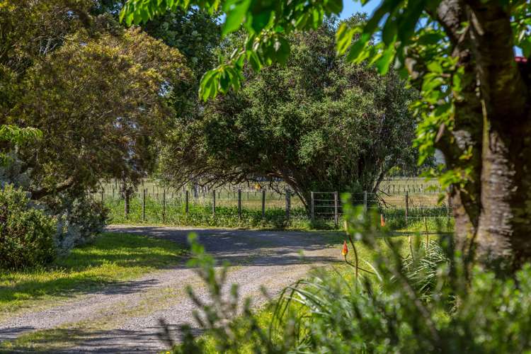 3509 State Highway 2 Carterton_8