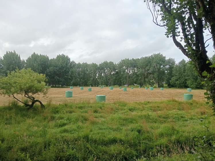 48 Doel Road Kawakawa_45