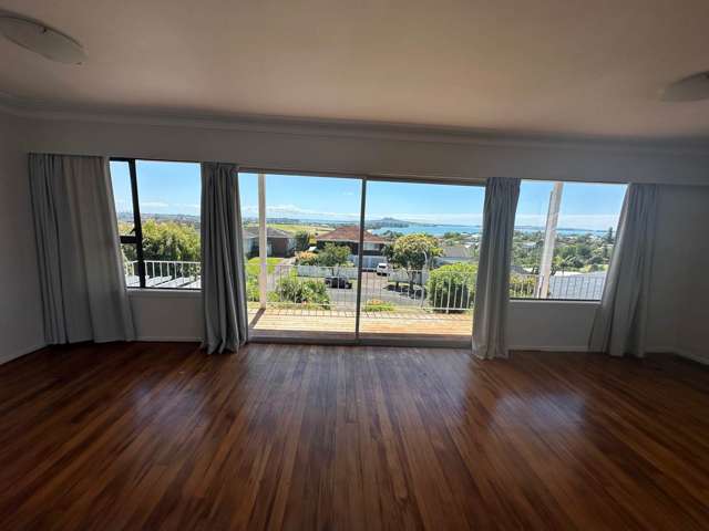 12 Copperfield Terrace Mellons Bay_2