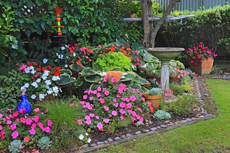 50 Gloucester Street Greenmeadows_19