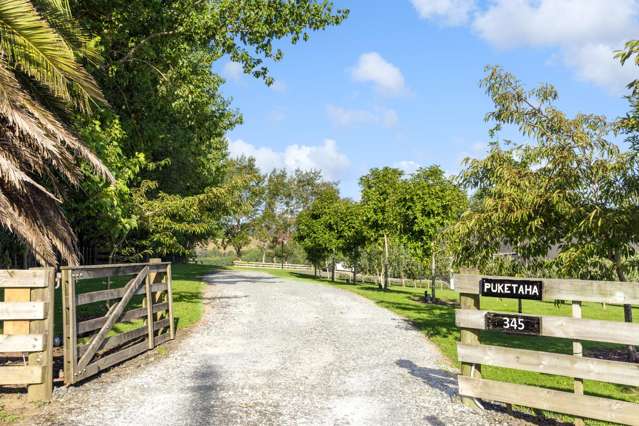 345 Green Road Matakana_2