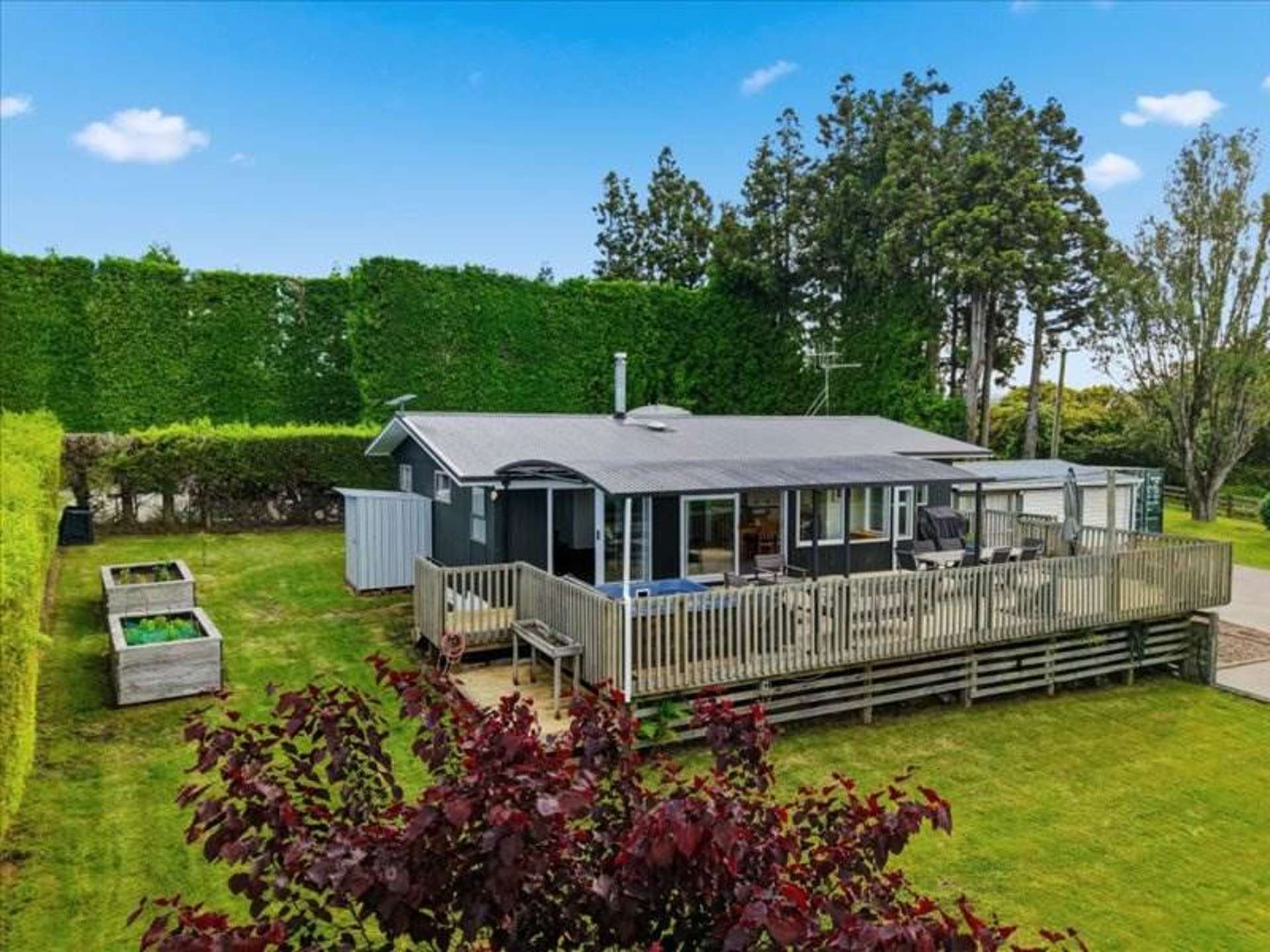 395 Youngson Road Whakamarama_0
