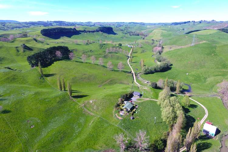 161 Veale Road Otorohanga_34