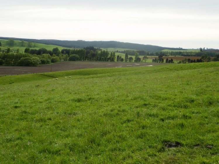 1011 Birchwood Wairio Road Birchwood_1