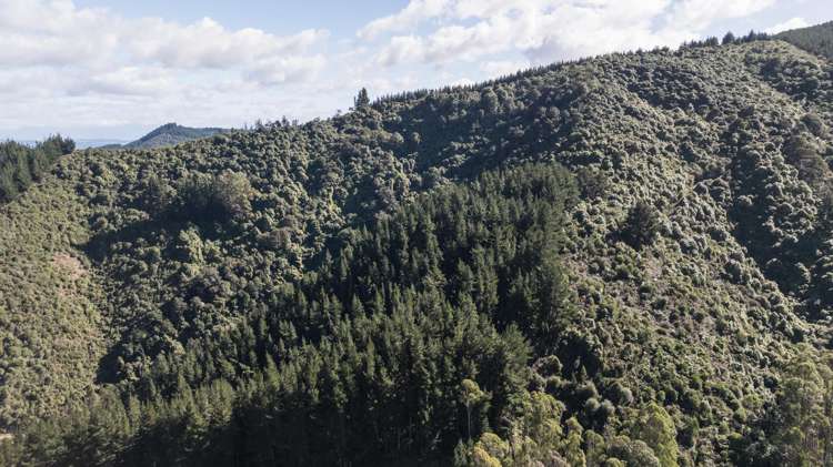 967 Aniseed Valley Road Aniseed Valley_15