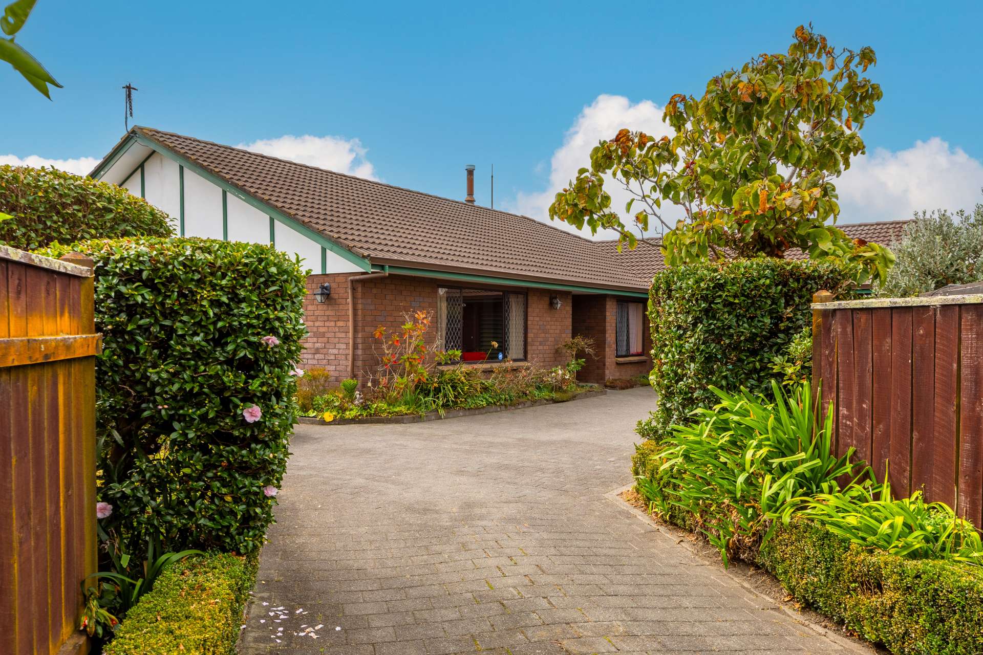 79 O'Dowd Road Taradale_0