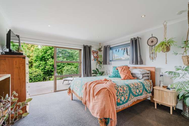 699 State Highway 23 Whatawhata_6