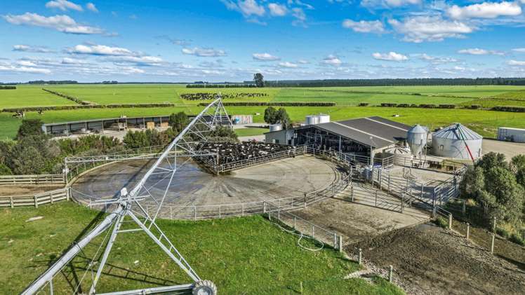 803 Ardlui Road Te Pirita_1