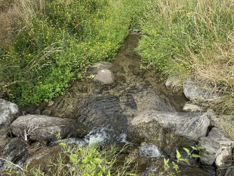 42D Gladsmuir Road Queensberry_27