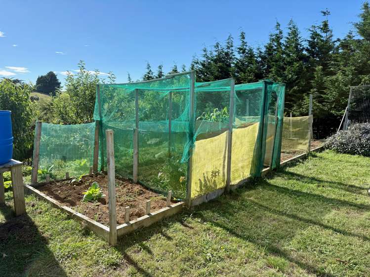 24 Wrights Road Raglan_15