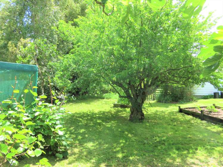 112 Colville Road Dargaville_21