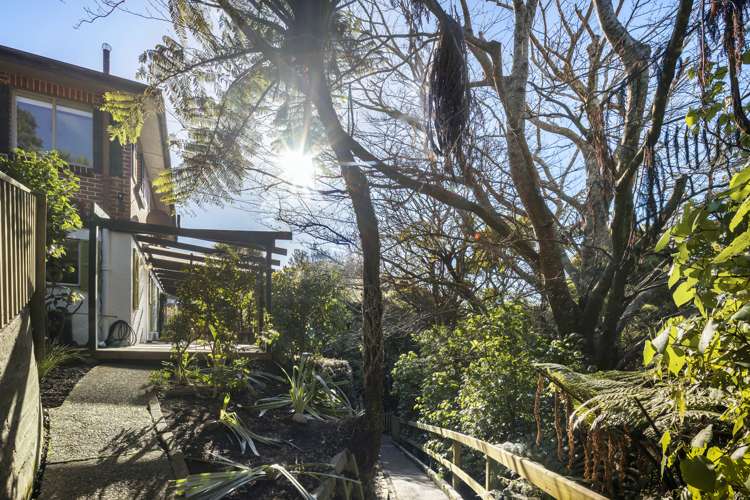 43a Rose Street Wadestown_10