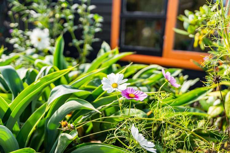 39 Lovatt Crescent Kensington_24