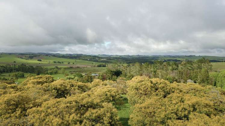 405 Tara Road Mangawhai_13