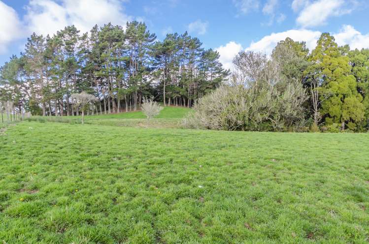 46 Harry Dreadon Road Opaheke_7