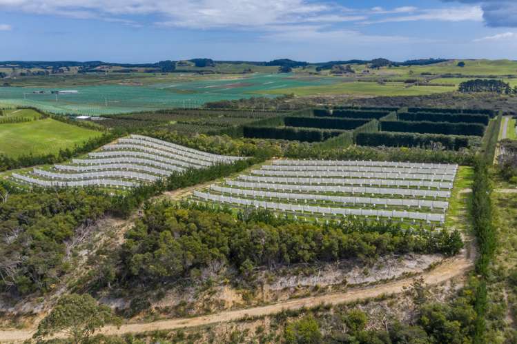 168 Heath Road Awanui_13