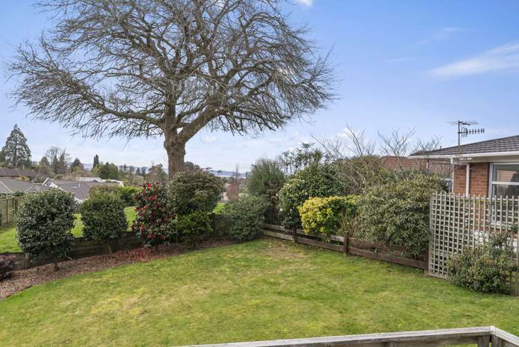 10a Willmott Place Springfield_13