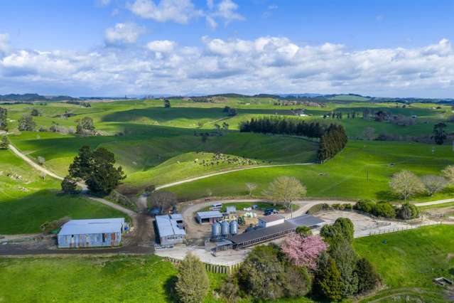 2085a-B Old Taupo Road Putaruru_1