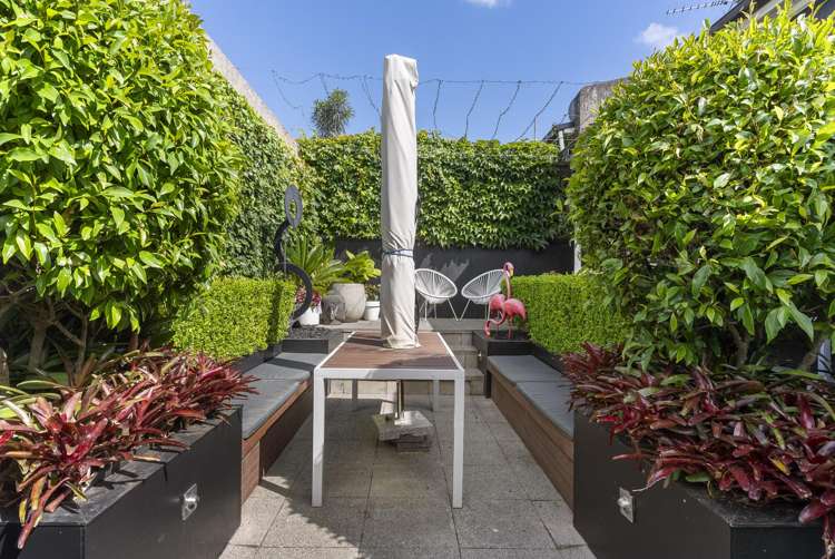 13 Brisbane Street Grey Lynn_14