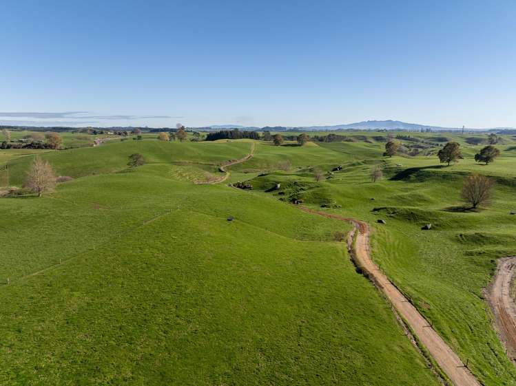 2005 Old Taupo Road Putaruru_19