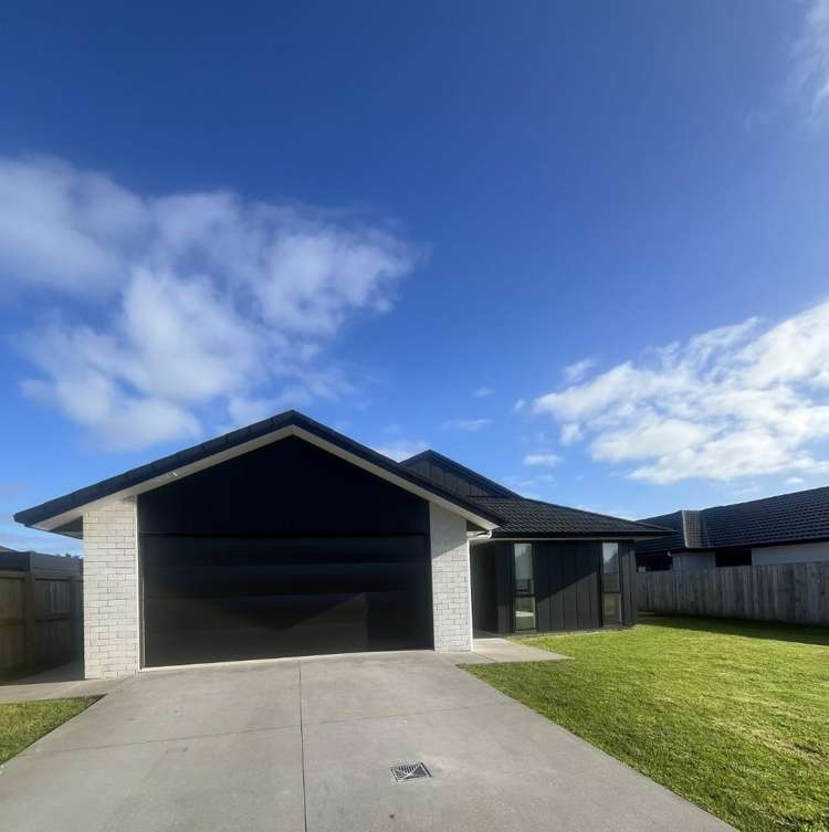 33 Palm Drive Whitianga_30
