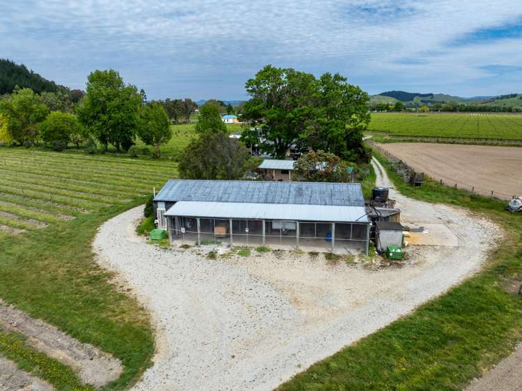 Whitmore Road Ormond_12