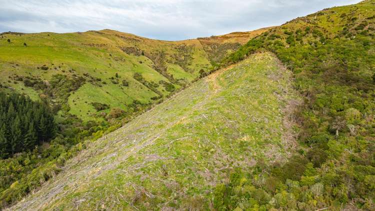 1301 Western Valley Road Port Levy_4