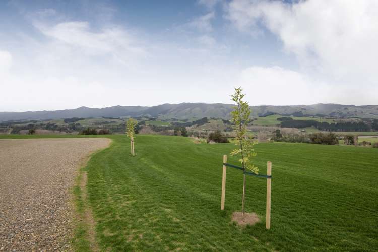 1117 Pohangina Road Pohangina_25